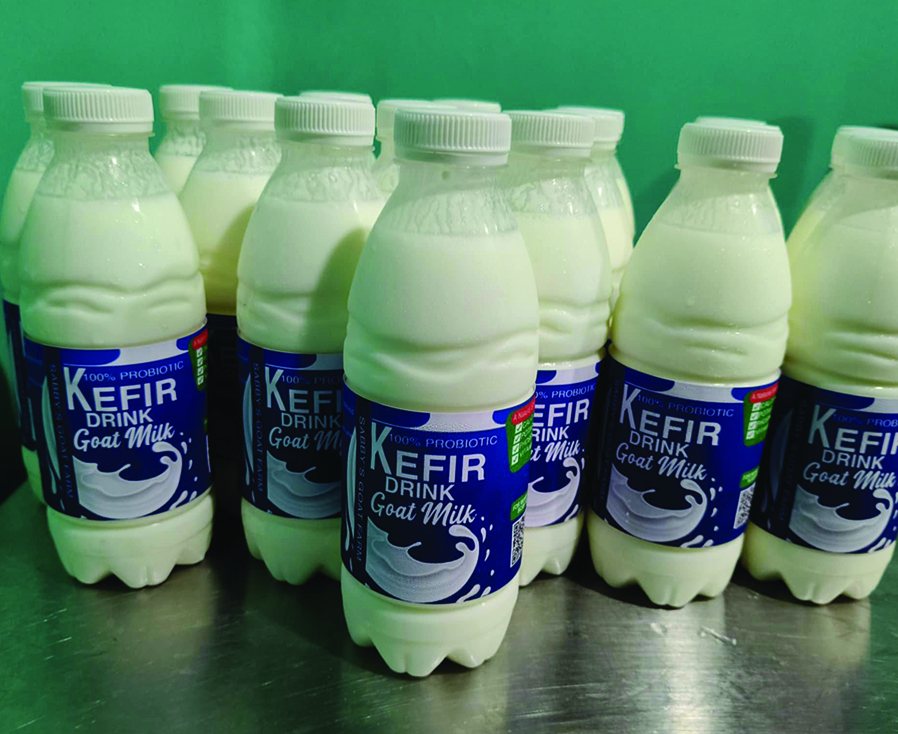 Kefir milk